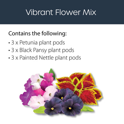 Mix Packs Pre-Seeded Pods