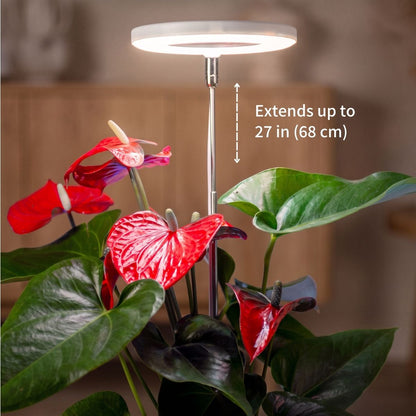 Ermonix Halo Elite shown lighting a potted plant with red anthuriums. White text on the image reads 'Extends up to 27 in (68 cm)'.