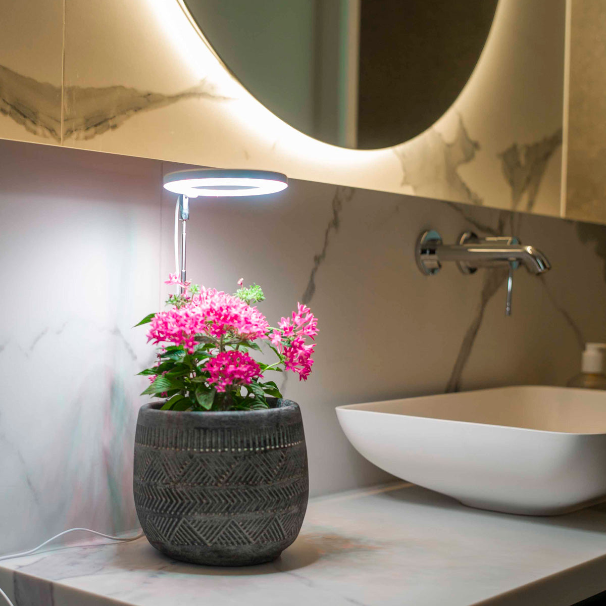 Ermonix Halo Elite with circular light head and telescopic arm inserted behind a potted pink flowering plant in a dark textured ceramic pot on a light marble bathroom wash basin counter.