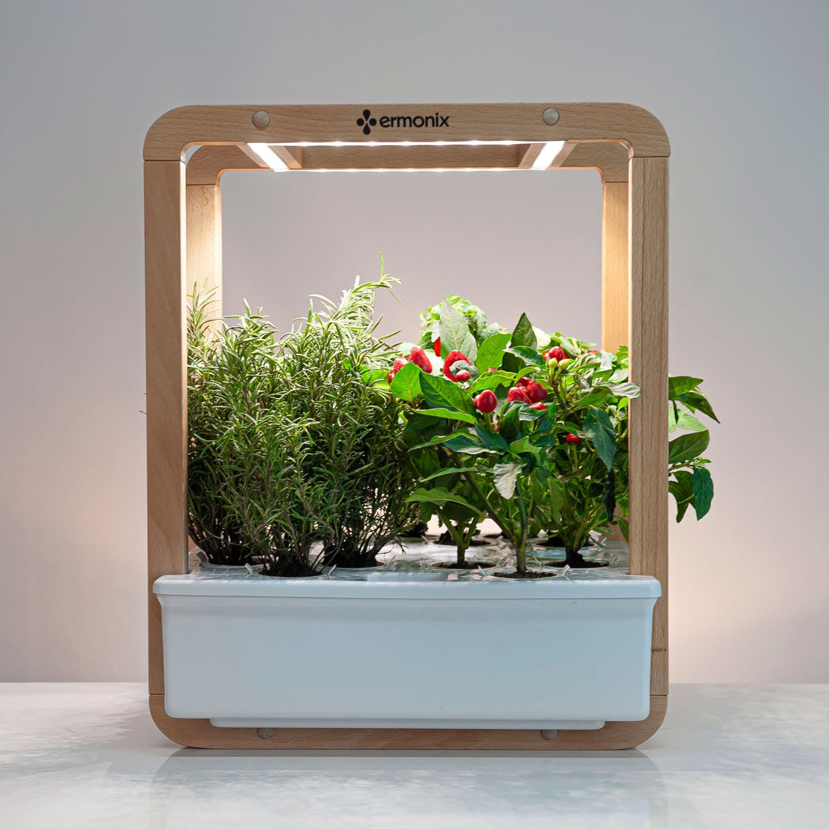 Garden cube indoor hydroponic system growing tomatoes and herbs