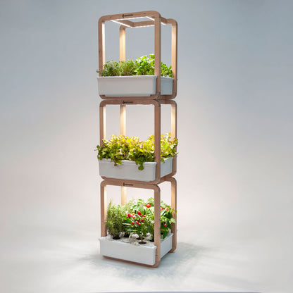 modular vertical indoor garden with three Garden Cubes