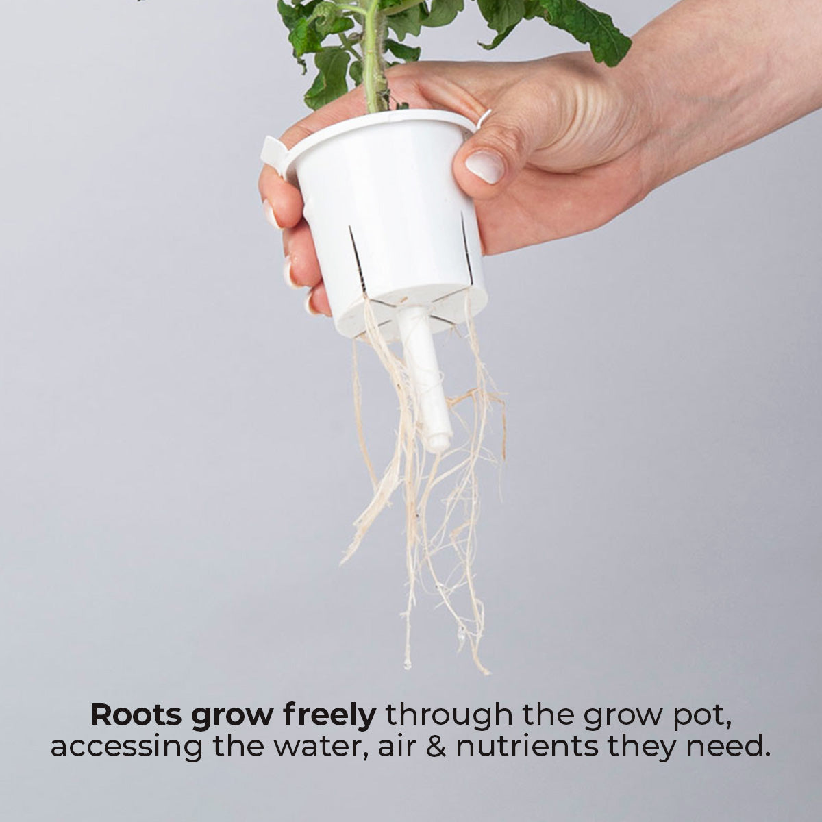 A hand holds a white plastic Ermonix smart garden pot holding a HydroSoil pod with a green leafy plant growing, showing the roots extending downward. A small diagram at the bottom illustrates roots growing through the pod, with text reading 'Roots grow freely through the plant pods, accessing the water, air & nutrients they need.