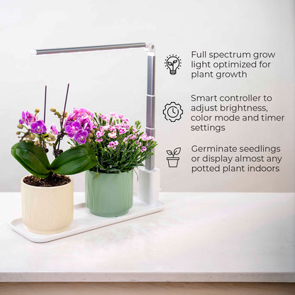 grow tray grow light features highlighted