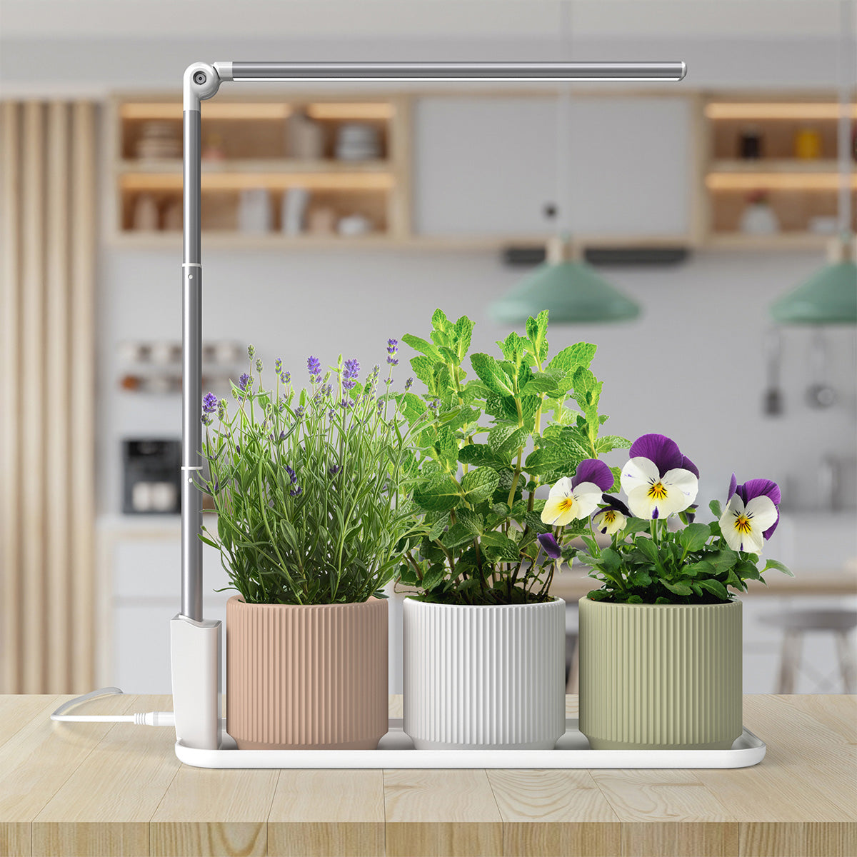 grow tray grow light growing herbs and flowers in decorative colored pots