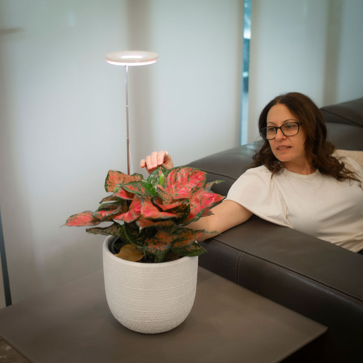 halo elite on coffee table with woman touching leaf