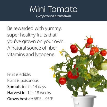 Mini Tomato click and grow plant pod features and benefits