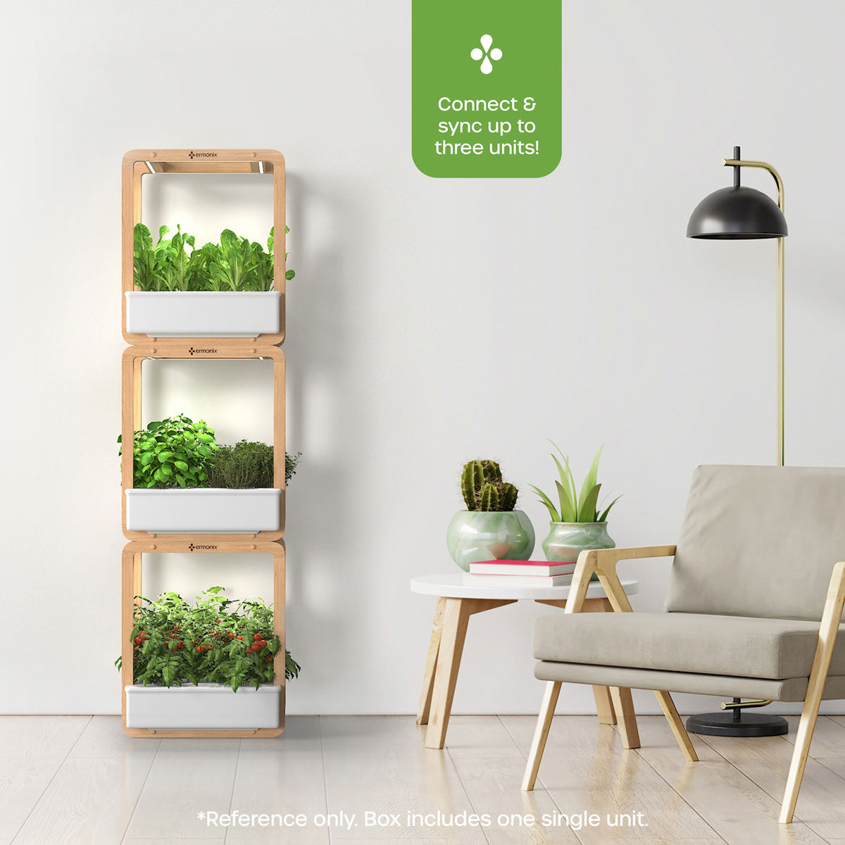 Vertical indoor garden growing herbs and vegetables