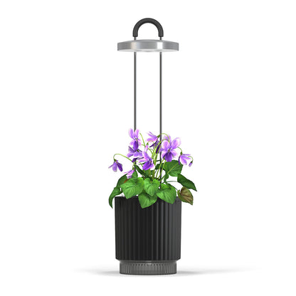 HydroVase black vase option