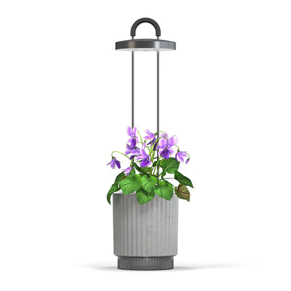 HydroVase