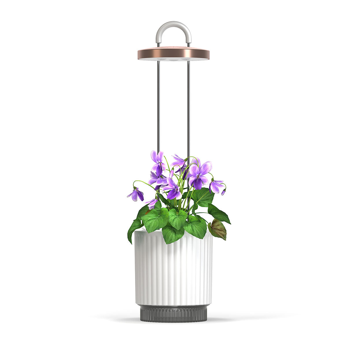 HydroVase white vase base option