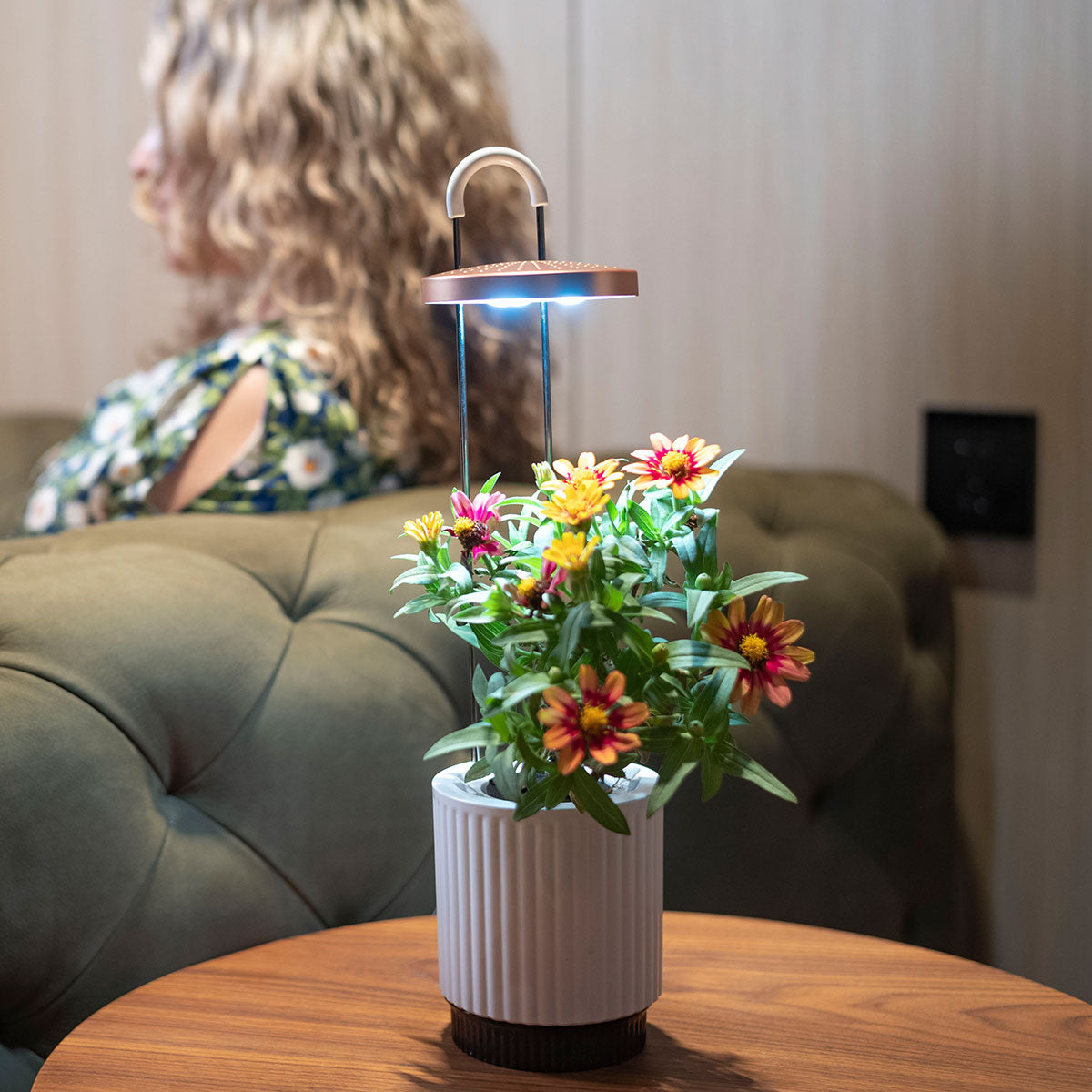 HydroVase in living room coffee table with flowers