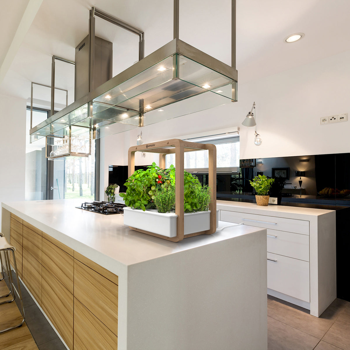 Garden Cube indoor hydroponic garden on kitchen island bench